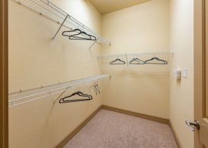 One Bedroom Apartments in Houston, Texas - Model Walk-In Closet
